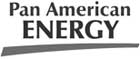 Pan American Energy	